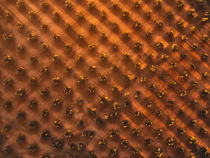 fotografia con drones